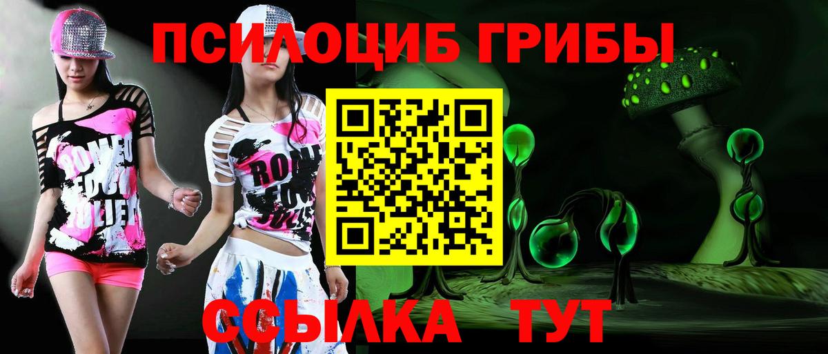 Псилоцибиновые грибы Psilocybe  Псилоцибиновые грибы MAGIC MUSHROOMS  Вход с VPN  Будённовск 